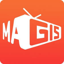 Imagen de MAGIS TV  PERFIL X 1 MES